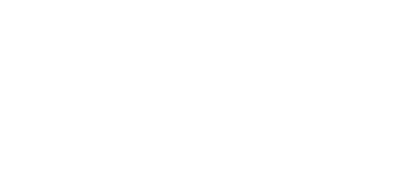 Regal Inc